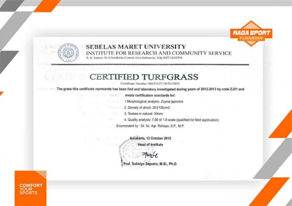 biaya pembuatan lapangan sepak bola