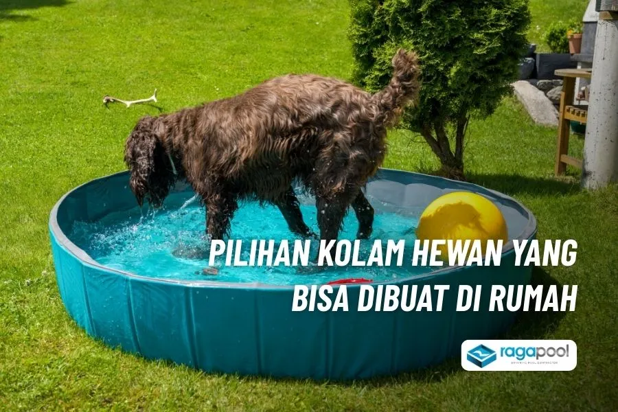 inspirasi kolam hewan di rumah
