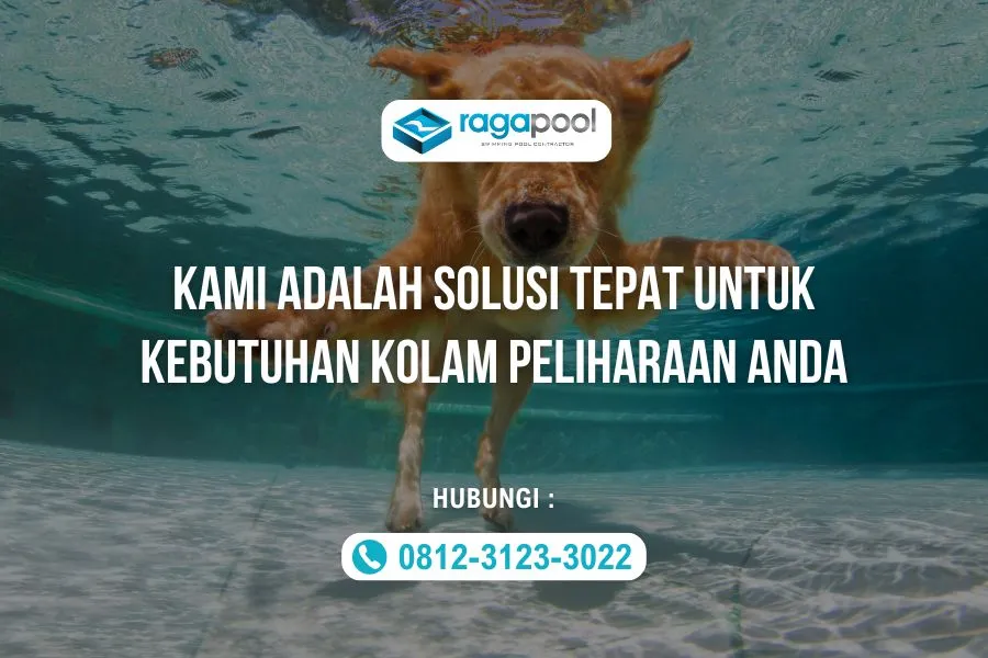 jasa pembuatan kolam renang hewan