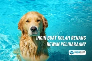 kolam renang hewan