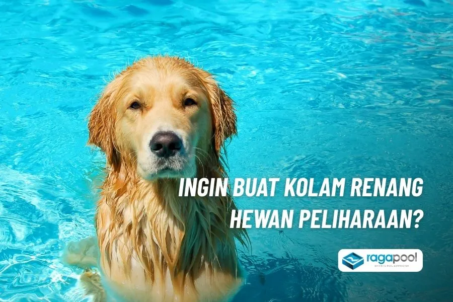 kolam renang hewan