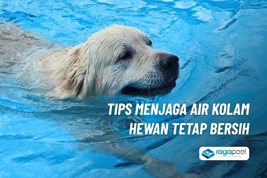 perawatan kolam hewan