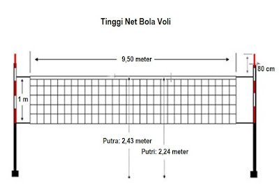 Ukuran Lapangan Voli Standar PBVSI & FIVB 3 karpet-lapangan-voli-gambar-net-bola-voli